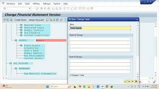 27. Financial Statement Version (FSV)