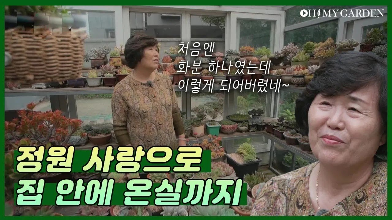 [정원의 발견] 이웃집 정원 Neighbourhood Garden | KBS제주 20200612 방송