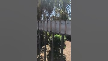 Custom Oscale through girder bridge