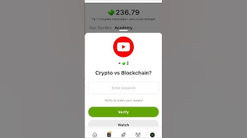 Seed crypto vs blockchain? #seed#seeds