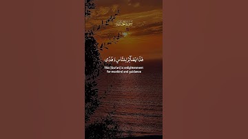 سورة الجاثية #اكسبلور #القران_الكريم #الرحمن #المصحف #راحة_نفسية