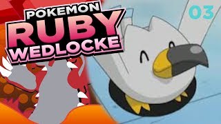 SNAGGING ENCOUNTERS! Pokemon Ruby randomizer Nuzlocke ep. 3