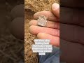 Metal Detecting Uk Wales