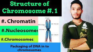 Structure of nucleosome, DNA packaging, Structure and types of chromosomes