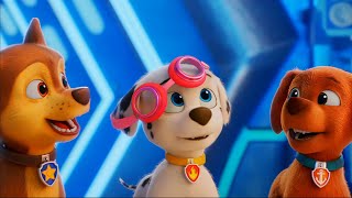 Paw Patrol  -  Yaniz  Secrets / Best Music Video 4k HD /