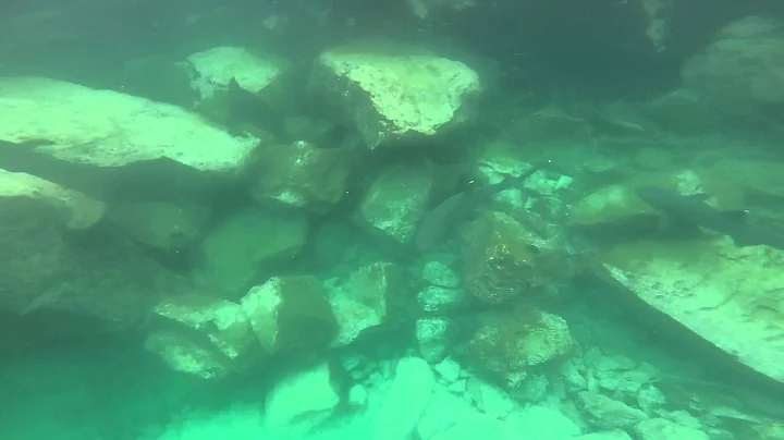 GOPRO152 edit1