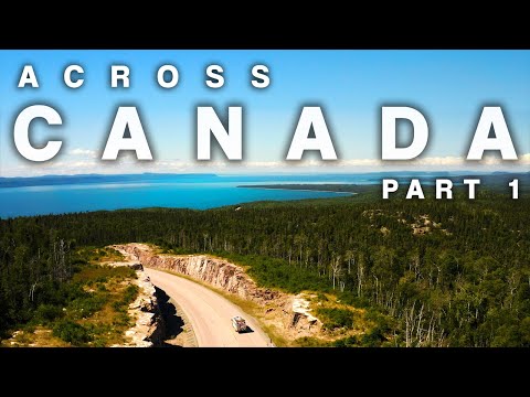 Video: Dov'è l'industria forestale in Canada?