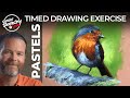 Drawing a Bird with Pastels in 45 Minutes - Gettin' Sketchy LIVE