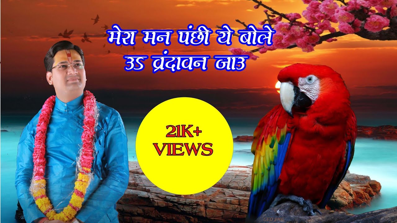 21 K+ views मेरा मन पंछी।शानदार भजन।।
