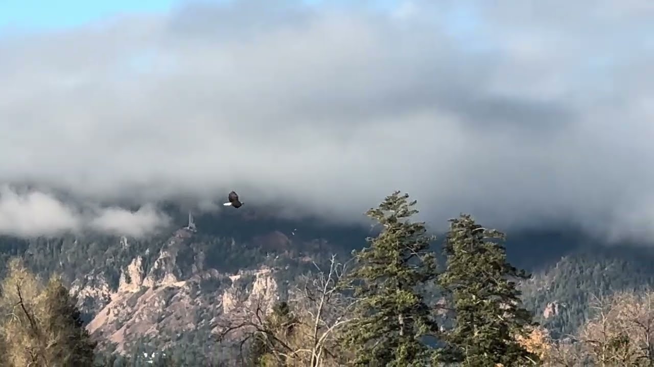 Memorial Park. This quickly & easily became one of my favorite places to experience. #memorialpark 