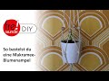 Do it yourself: So bastelst du eine Makramee-Blumenampel – Freistunde DIY