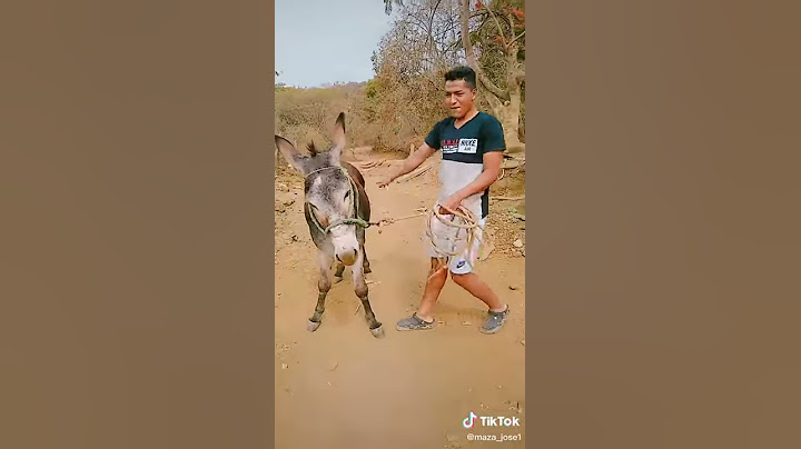 iba montarse en el burro y se cae Jajaja😂😂😂