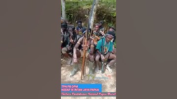 Wisisi: TPN PB OPM Kodap III Intan Jaya Papua | Free West Papua #Shorts