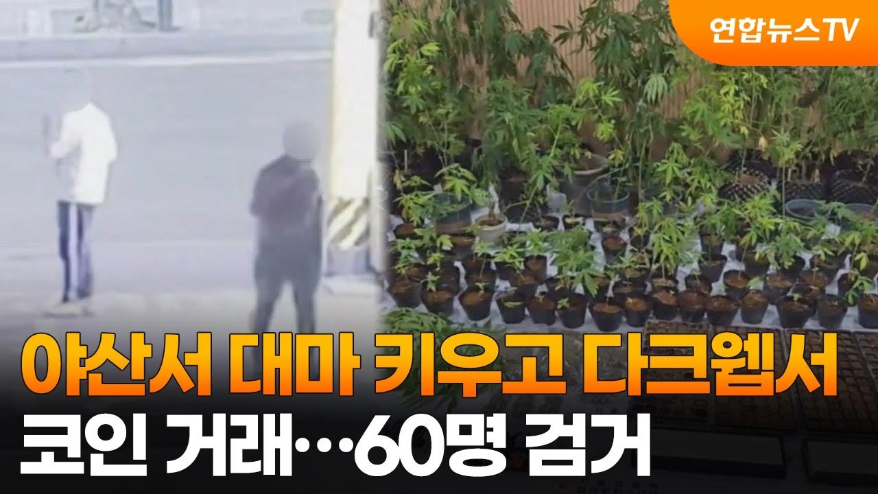 야산서 대마 키우고 다크웹서 코인 거래…60명 검거 / 연합뉴스TV (YonhapnewsTV)