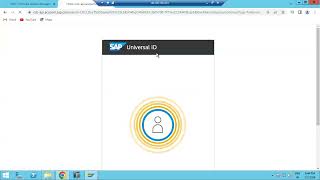 SAP UPGRADE - EXTRACTION & CONFIGURATION PHASES