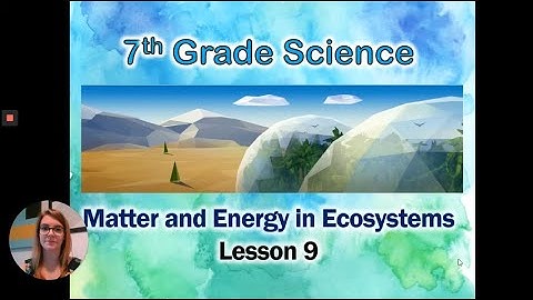 Matter and Energy in Ecosystems: Lesson 9