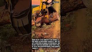 웅장한 임업 기계 존디어 하베스터의 나무 벌목 및 조재 과정 johndeere harvester heavyequipment logging timber