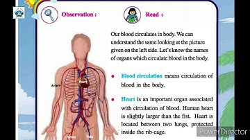 Std 5th EVS Ch-13 Circulation Of Blood