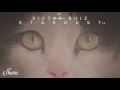 Victor Ruiz - Dying Of The Light (Victor Interstellar's Remake) [Suara]