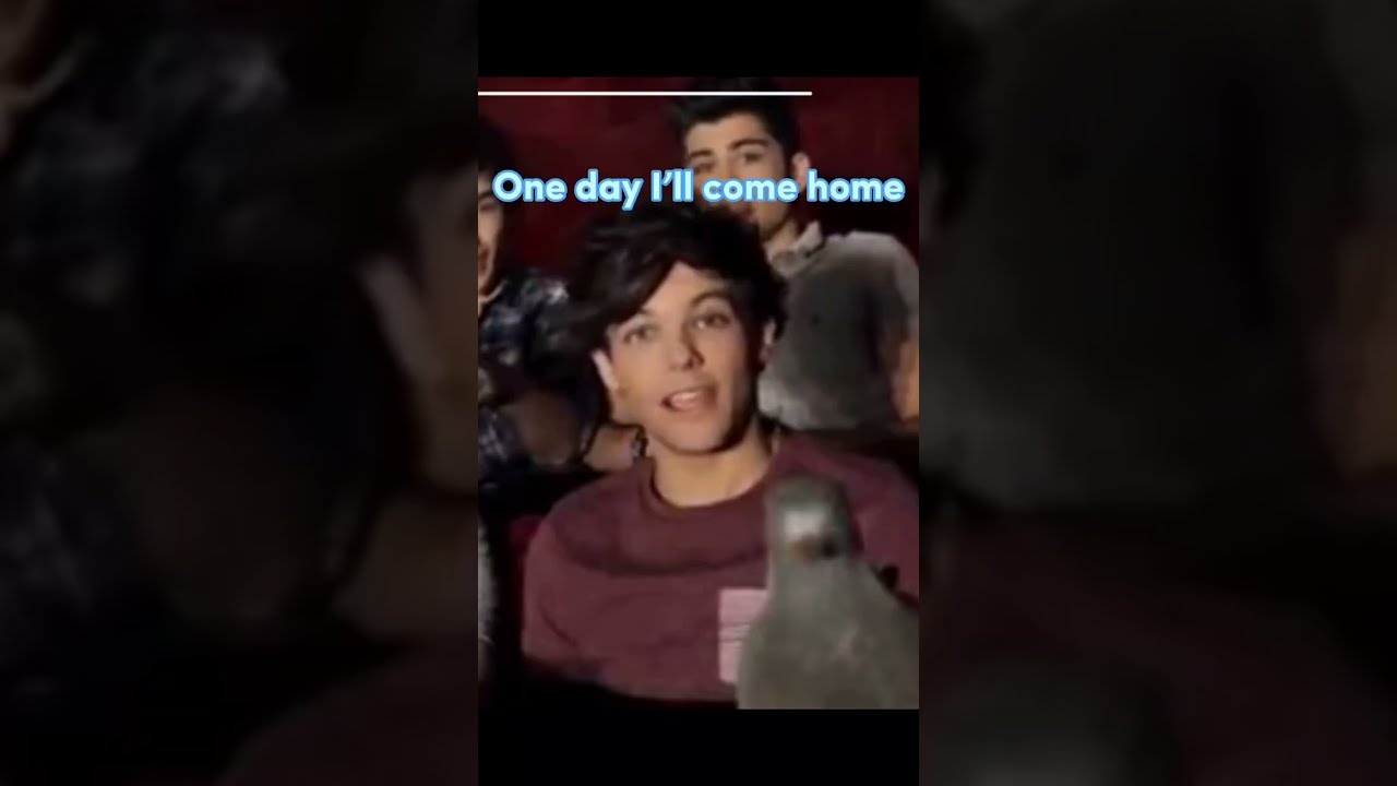We Can Celebrate Youtubeshorts Onedirection Onedirectionedit Louistomlinson