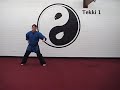 Brown Belt Karate Tekki 1