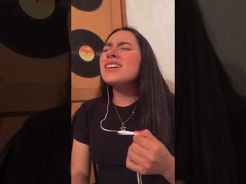 Amapolas - Leo