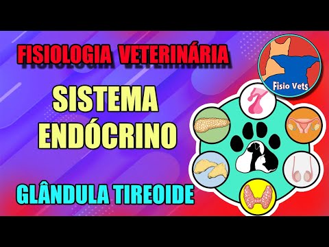 Vídeo: Transtorno Da Glândula Tireoide Em Cães