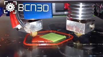 BCN3D+ - Dual extrusion