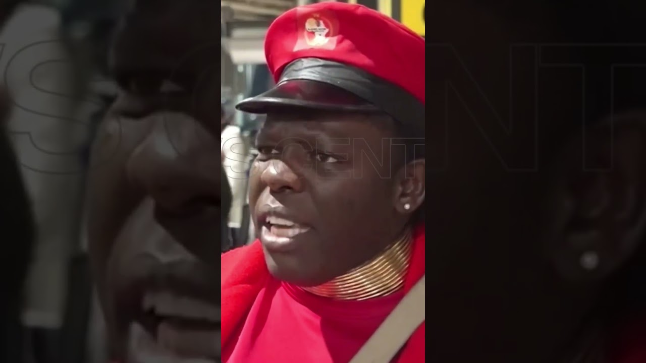 South African politician sparks controversy with remarks about Nigerians