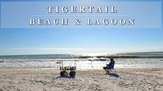 Marco Island: A Walk to Tigertail Lagoon & Beach | 4K Relaxing Scenic Beach Walking Tour Binaural 🎧