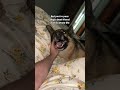 Best Friends Forever 🥺рџ Best Friends Forever 🥺рџ