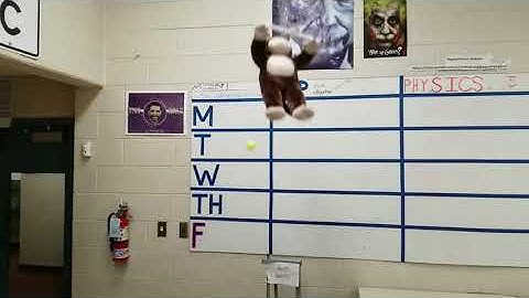 Physics Projectile motion Unit 2 hunter and the monkey demonstration