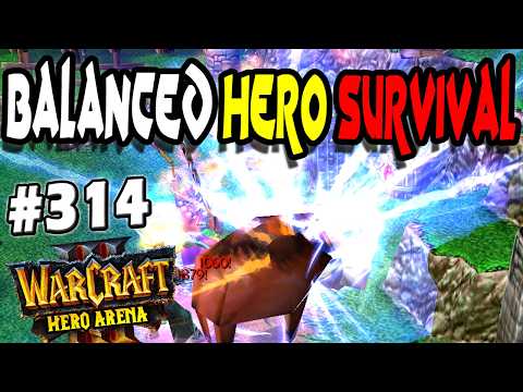 Balanced Hero Survival #314
