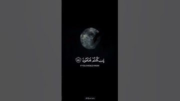 تلاوة تريح القلب ما شاء الله 🤍