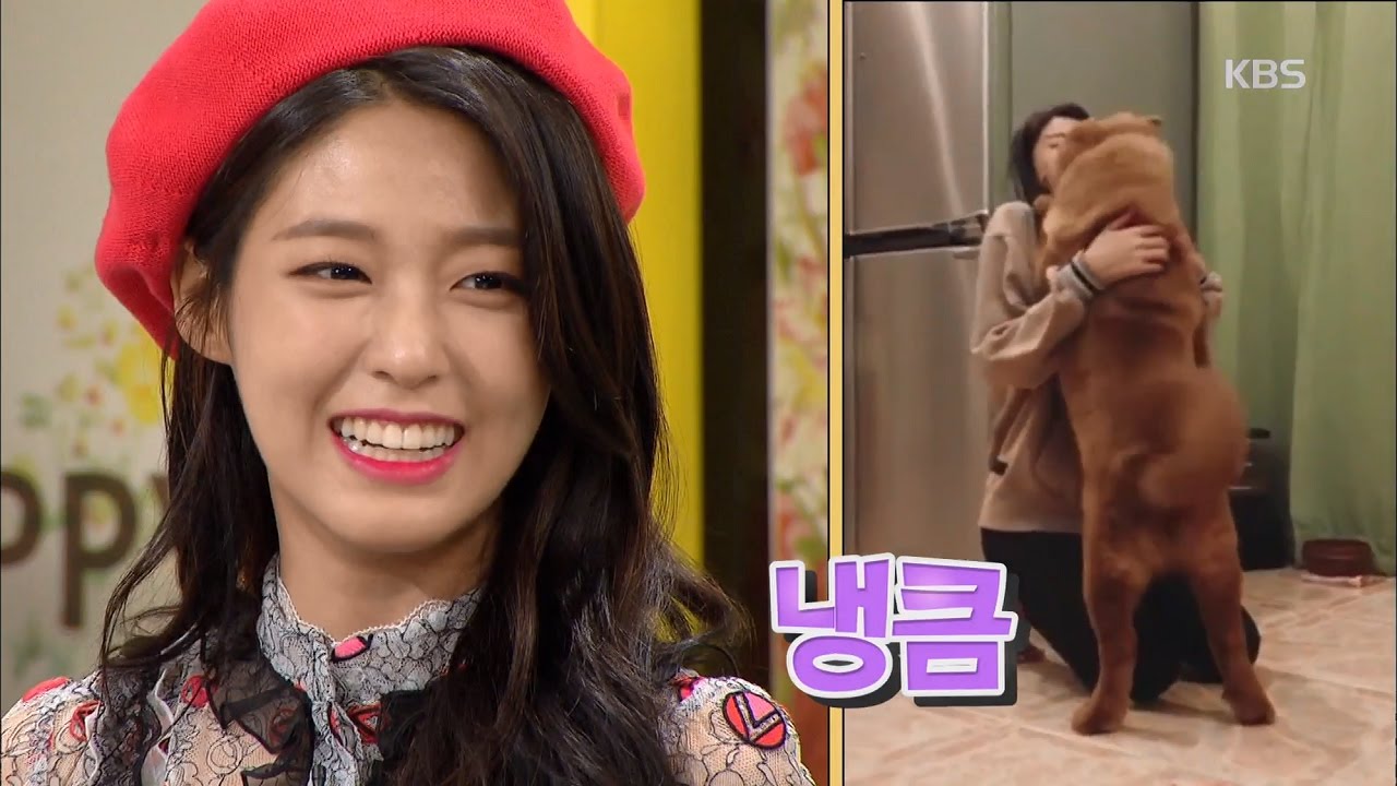 해피투게더3 Happy together Season 3 - 설현, 신곡 Excuse me 반려견에 들려줬더니 쌩~.20170420