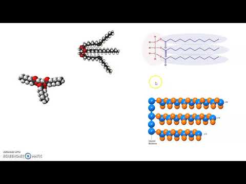 וִידֵאוֹ: מהי חומצת שומן cis?