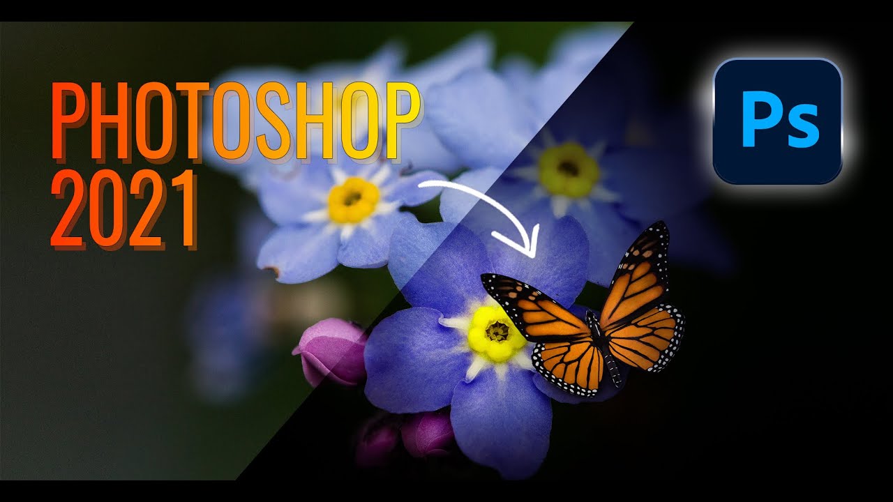 Dreamy Flower (add a Butterfly) Edit in Photoshop