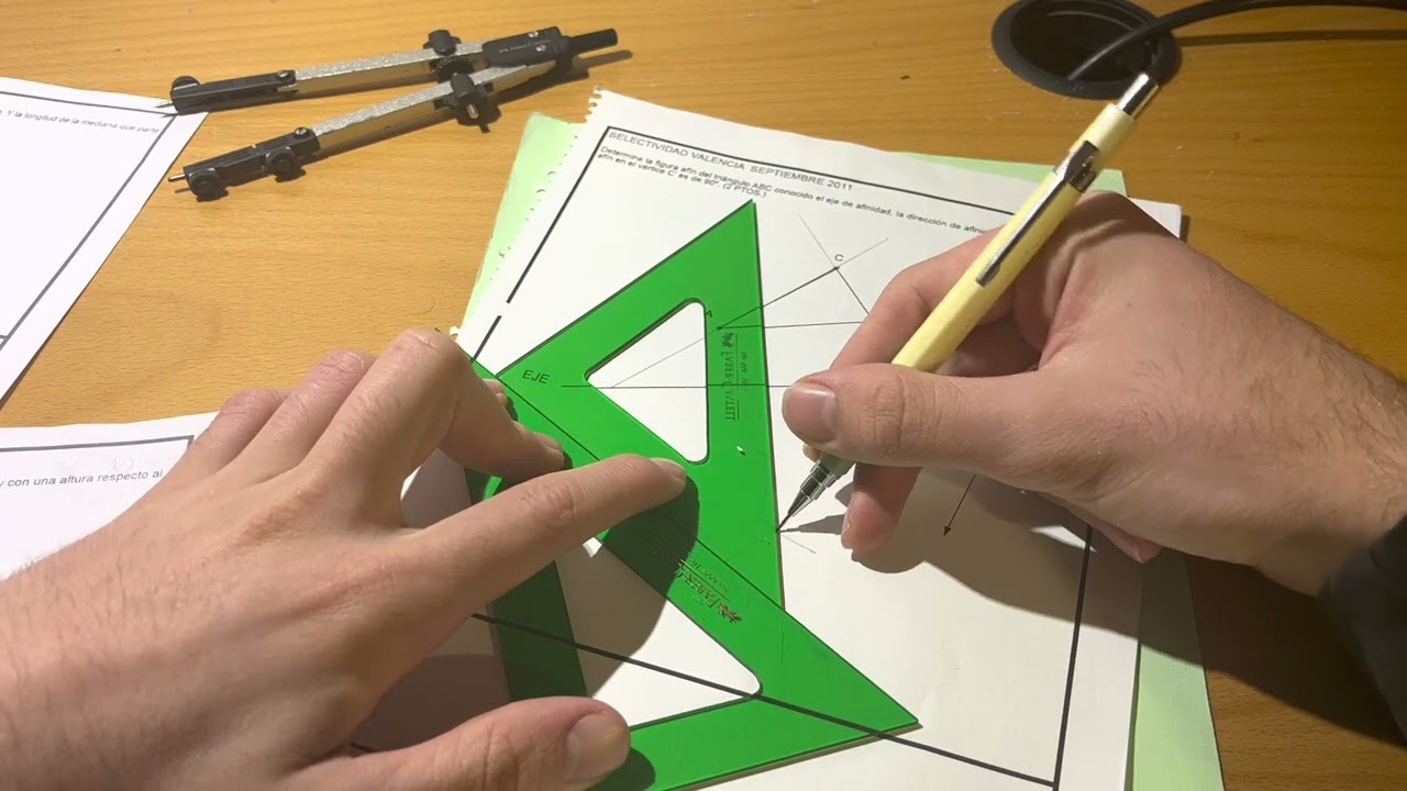 Comunidad Valenciana. Extraordinaria de 2011, afinidad