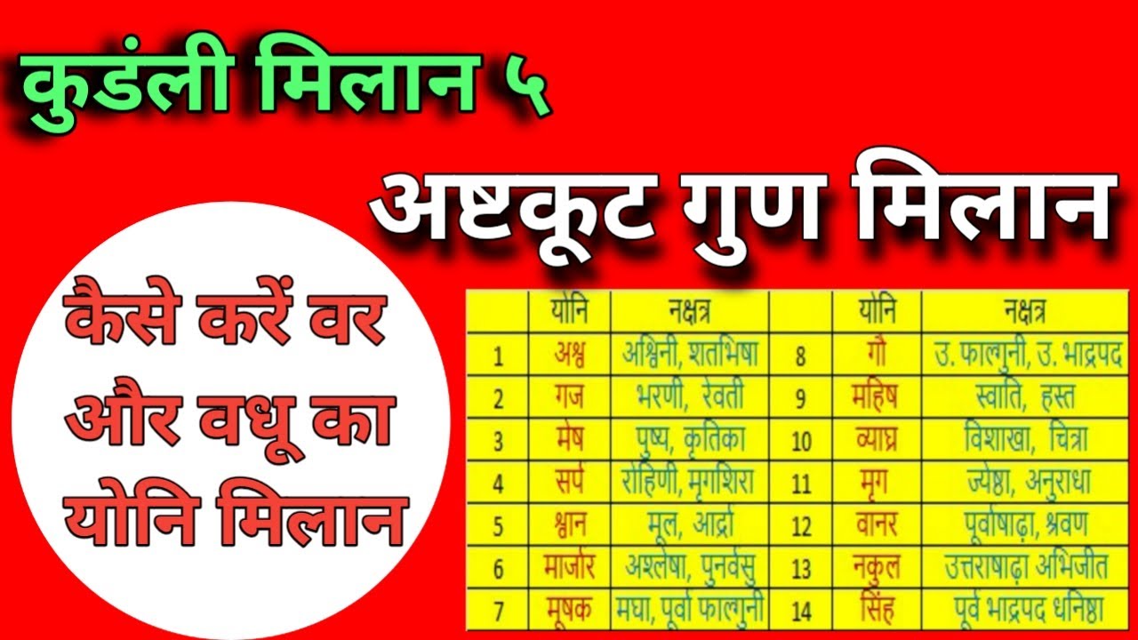 WHAT IS YONI GUNA IN ASTROLOGY|HOW MANY TYPES OF YONI ARE THERE IN  ASTROLOGY|HOW IS YONI CALCULATED - YouTube