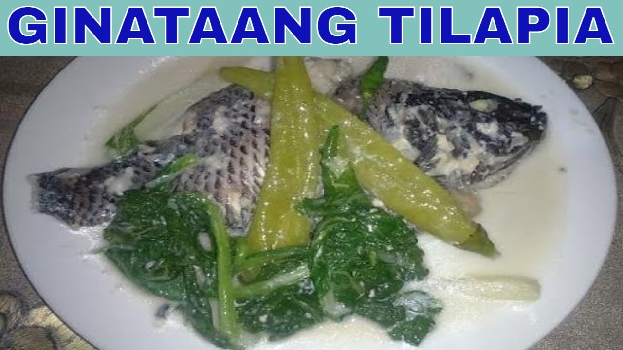 Ginataang Tilapia Ginataang Tilapia with Petchay Quick and Easy