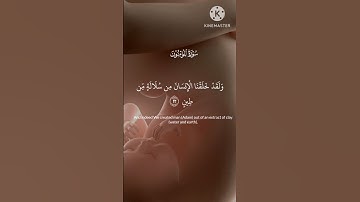 أكتب شيء تؤجر عليه ❤️‍🩹🤲🔥|سورة المؤمنون|Quran listening 🎧 with Taimoor Siddiqui|QuranR