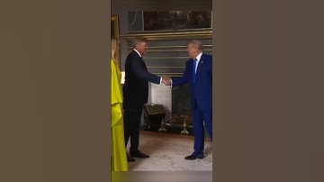 Handshake Willem Alexander vs Donald Trump #king #willie #trump #humor #president #handshaking