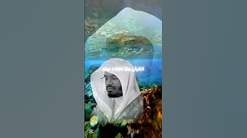جزء::سورة النساء بصوت الشيخ ياسر الدوسري #quran #سورة_النساء #ياسر_الدوسري #القرآن_الكريم #قرآن