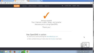 Check to make sure OpenDNS is working