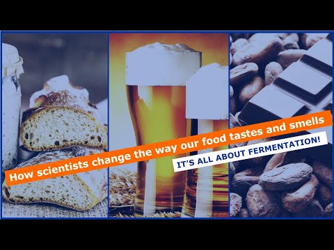 Food biotechnology: innovation in fermentation