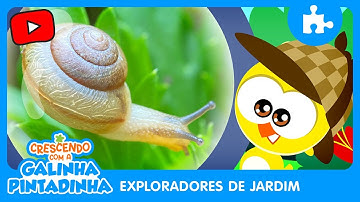 Crescendo com a Galinha Pintadinha | Exploradores do Jardim - Caracol