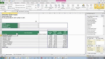 Sage Peachtree Business Intelligence Tutorial