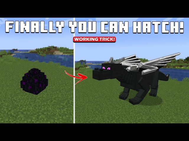 How To Hatch The Ender Dragon Egg In Minecraft Pocket How To Hatch The