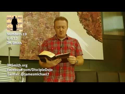 Numbers 19 - Death and a Ginger Cow