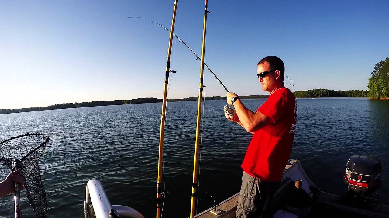 lake Hartwell, SC striper fishing YouTube